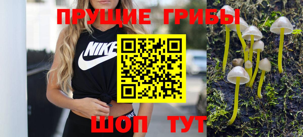 Галлюциногенные грибы мицелий Волгоград